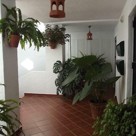 Apartamento En Conil Conil De La Frontera Luaran gambar